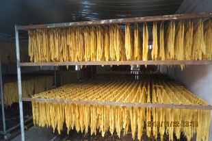 江西腐竹豆制品生产